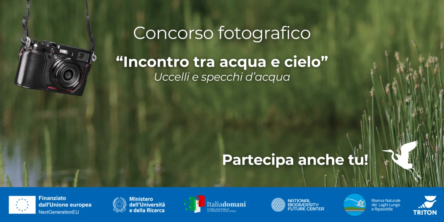 Foto per pubblicizzare il concorso fotografico del progetto MonOrniTech
